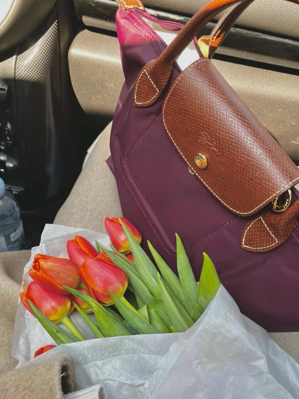 Authentic Longchamp Le Pliage- small